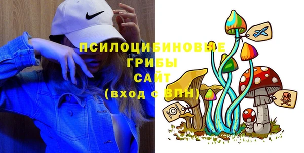 мескалин Гусев