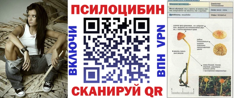 Галлюциногенные грибы MAGIC MUSHROOMS  Владимир 