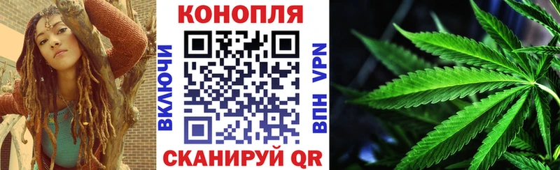 Конопля планчик Владимир